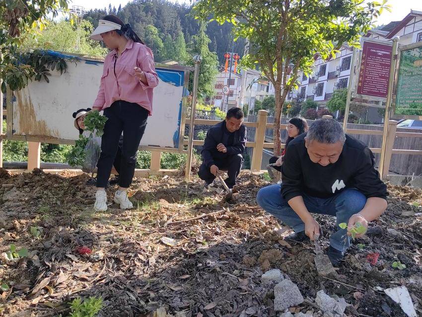 44118太阳成城集团驻村工作队挥锹夯土培植花苗